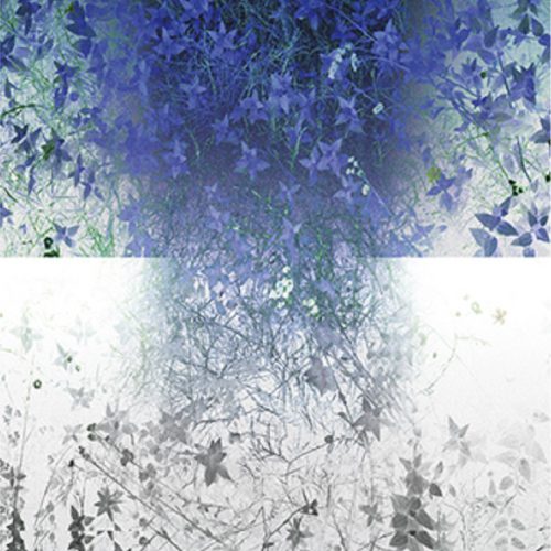 遠藤 享『SPACE&SPACE NS 1811』
