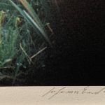 遠藤享『NATURE 0116』