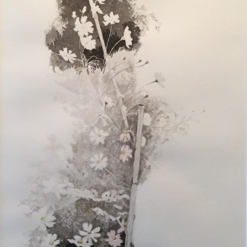 川端絋一『秋桜』