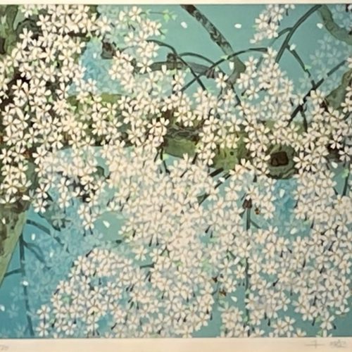 中島千波『三宝院の桜花』
