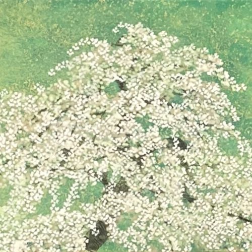 平松礼二『春桜図』