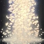 新山拓『SAKURA FOLL・Ⅰ』