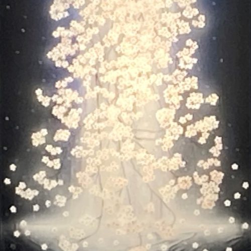 新山拓『SAKURA FOLL・Ⅰ』