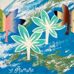 奥村幸弘『風のBonanza』