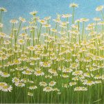 山本美和『お花畑でかくれんぼ』